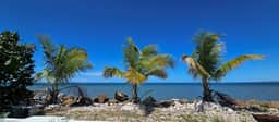 Aqua Bella I Oceanfront House - Image 5